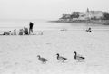 a_la_plage.jpg