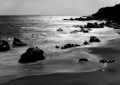 contre_jour~0.jpg
