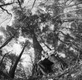 Nom du fichier=kiev60.jpg
Taille du fichier=336Ko
Dimensions : 800x785
Ajouté le : 26 Février 2015 kiev60.jpg