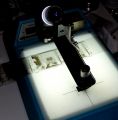 loupe.JPG