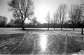 parc_1.jpg