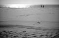Nom du fichier=plage_2R.jpg
Taille du fichier=86Ko
Dimensions : 800x521
Ajouté le : 19 Décembre 2014 plage_2R.jpg