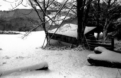 Fomapan 400
