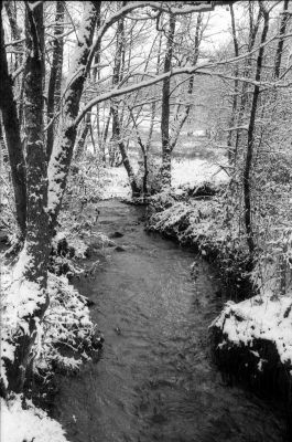 Fomapan 400
