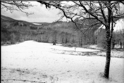 Fomapan 400

