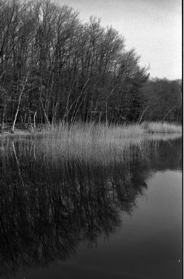 p23_4.jpg