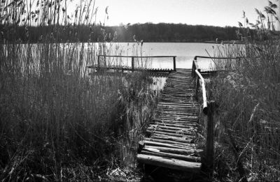 p26_3.jpg