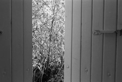 Fenêtre et bambous
Minox 35 GT
Delta 400
