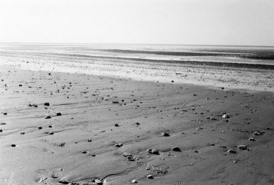 Plage de Chatelaillon
Minox 35 GT
Delta 400
