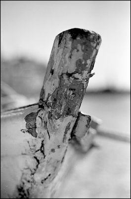 Image0010.jpg