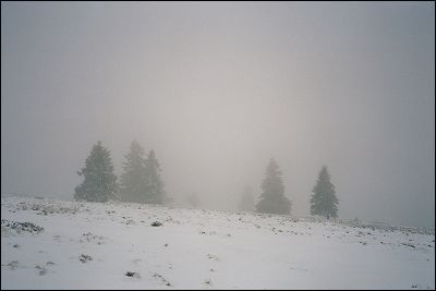 vosgescouleur1.jpg