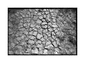 Nom du fichier=0VigDSC05729.jpg
Taille du fichier=527Ko
Dimensions : 1100x821
Ajouté le : 27 Mai 2025 0VigDSC05729.jpg