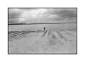 DSC05213Vig.jpg