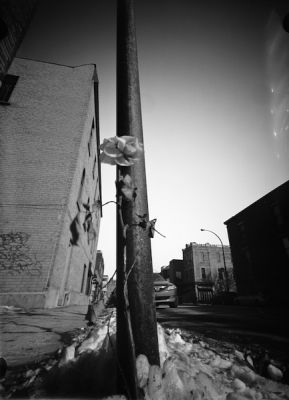 img632_copie.jpg