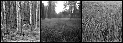 triptic.jpg