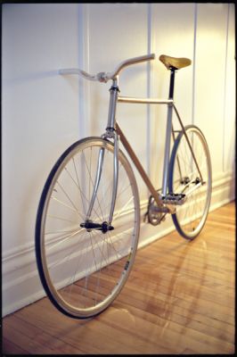 velo.jpg