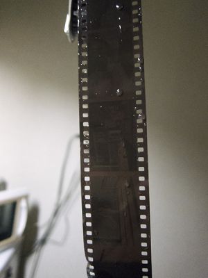 bIMG_3384.jpg