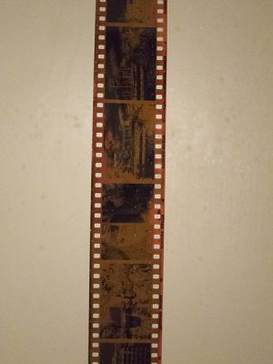bIMG_3529.jpg