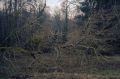 bScan-100322-0001.jpg