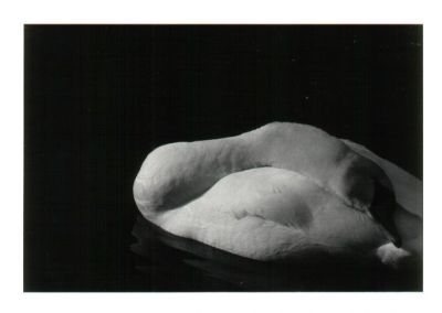 cygne
Charance Hautes Alpes
Minolta X700 100mm
Ilford PanF
