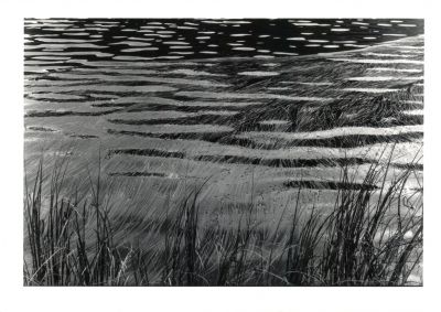Lac noir
Lac noir Alpes de haute provence
Minolta X700 50mm
Ilford PanF
