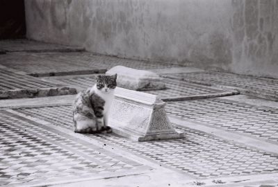 FH000004.JPG