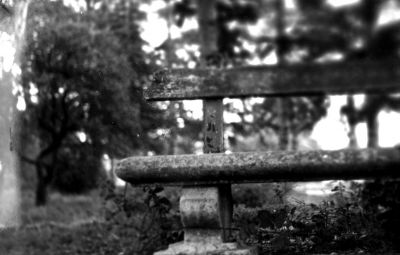Banc
