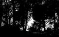 Nom du fichier=foret.jpg
Taille du fichier=191Ko
Dimensions : 1560x976
Ajouté le : 03 Mai 2009 foret.jpg