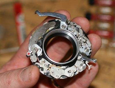 Bessa I - obturateur
