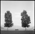 Scan-091024-0002-600.jpg
