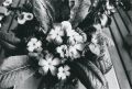 fleurs.jpg