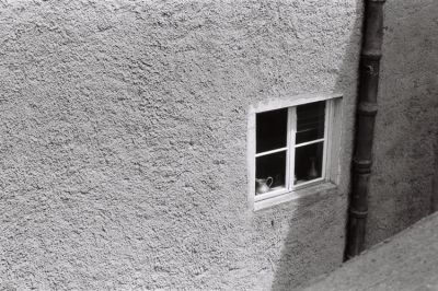 Yashica brut de scan
