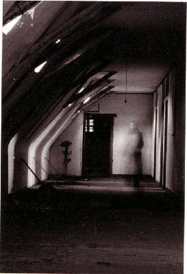 image002~5.gif