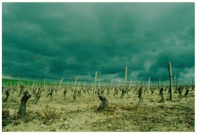 Ciel torture
