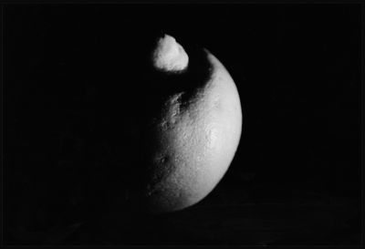 citron
