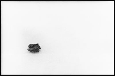 Feuille
