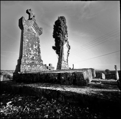 grave
