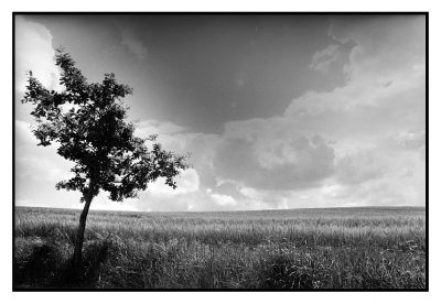 nuages 5
