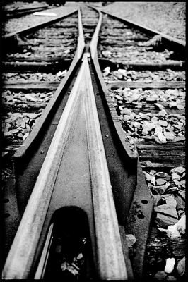 Rails

