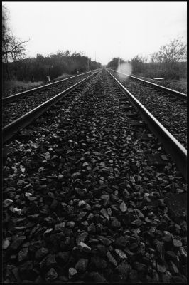 rails
