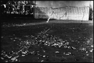 tennis
