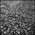 Nom du fichier=kolka_beach_bis.jpg
Taille du fichier=246Ko
Dimensions : 556x555
Ajouté le : 12 Juillet 2010 kolka_beach_bis.jpg