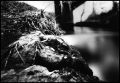 pinhole.jpg