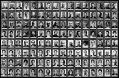 portraits.jpg