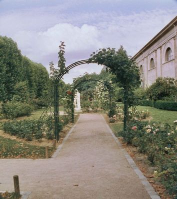 Allée du jardin des plantes
Muséum d'histoire naturelle
Mots-clés: fleur jardin botanique