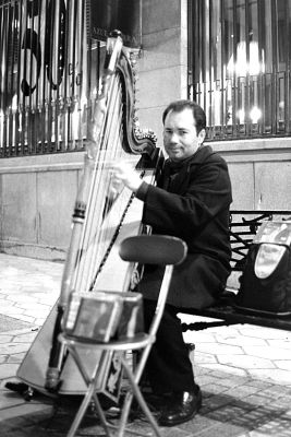 Harpiste
