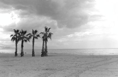 Playa San Juan
