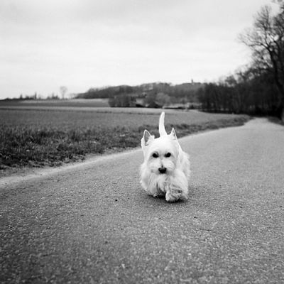 Un copain ?!
