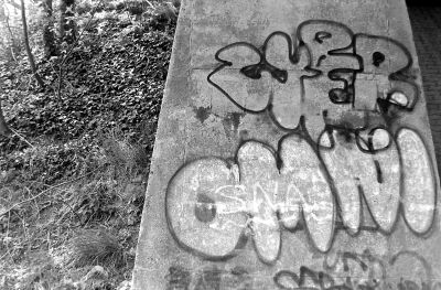 OMNI
