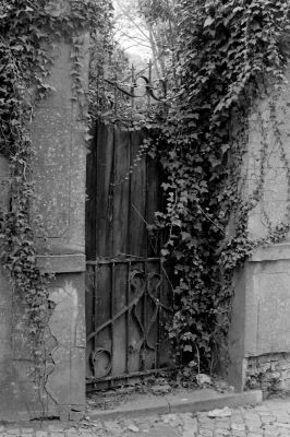porte.6
